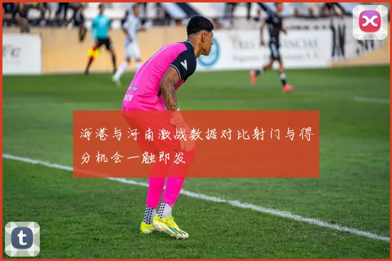 海港与河南激战数据对比射门与得分机会一触即发